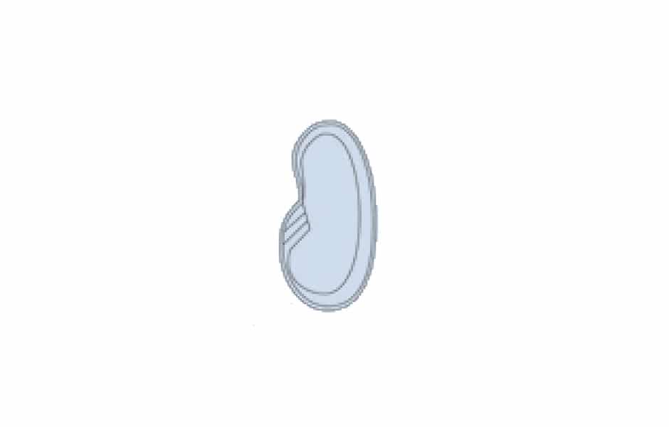 Modèle Piscine MdP 660 - Spa piscine