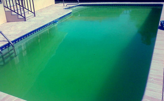 Piscine eau verte - Entretien piscine