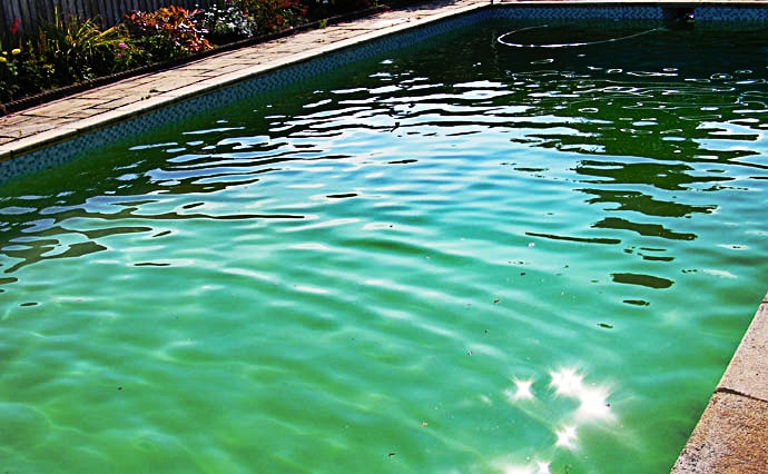 Piscine eau verte - Entretien piscine