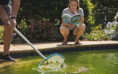 A close-up shot of a pool skimmer removing green algae from the surface of a vibrant green swimming pool, with sunlight glistening on the wa